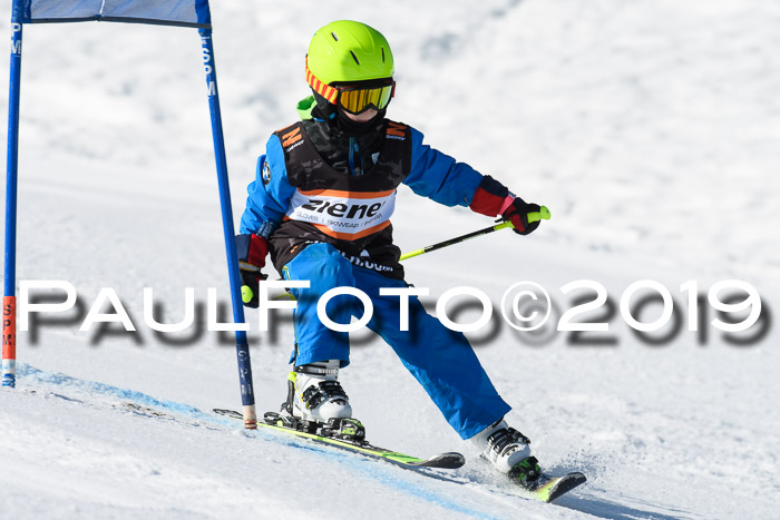 Ziener Cup WF, RS, 24.02.2019