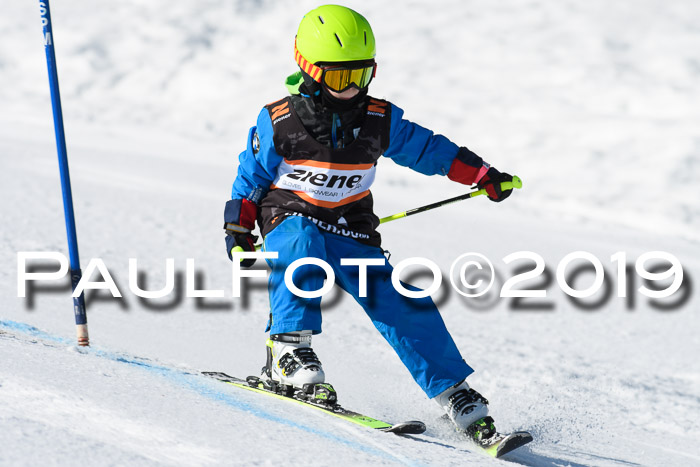 Ziener Cup WF, RS, 24.02.2019