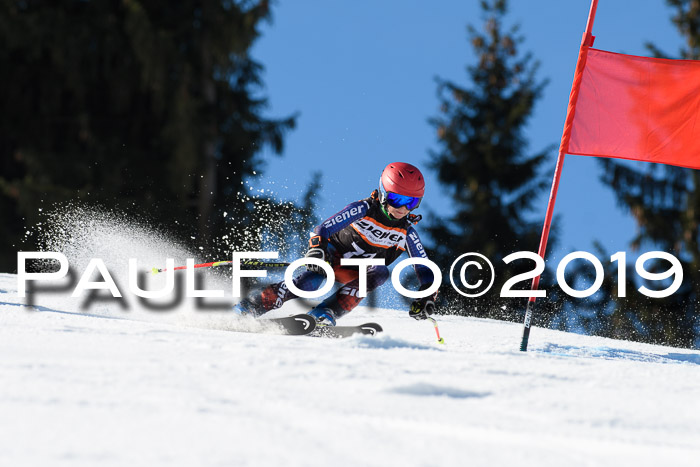 Ziener Cup WF, RS, 24.02.2019