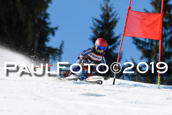 Ziener Cup WF, RS, 24.02.2019