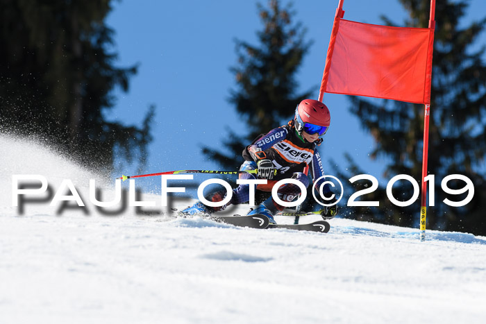 Ziener Cup WF, RS, 24.02.2019