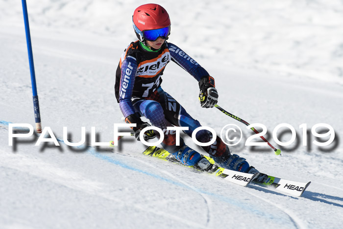 Ziener Cup WF, RS, 24.02.2019