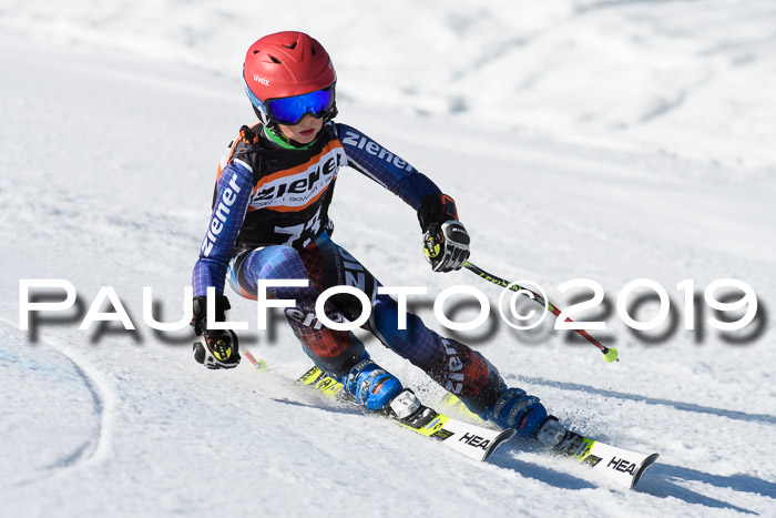 Ziener Cup WF, RS, 24.02.2019