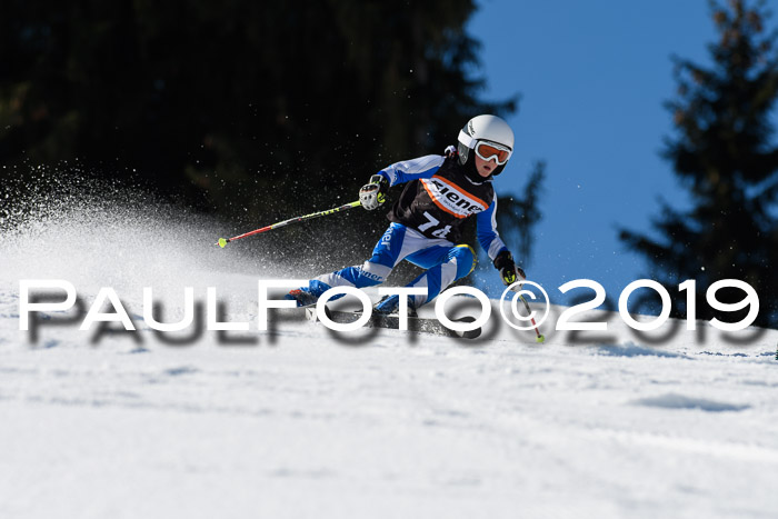 Ziener Cup WF, RS, 24.02.2019