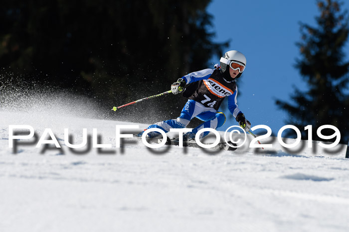 Ziener Cup WF, RS, 24.02.2019