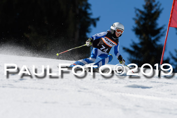 Ziener Cup WF, RS, 24.02.2019