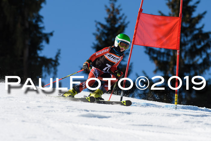 Ziener Cup WF, RS, 24.02.2019