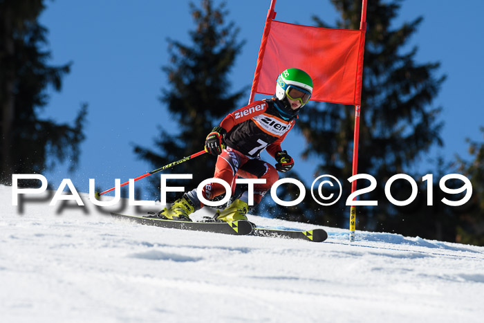 Ziener Cup WF, RS, 24.02.2019