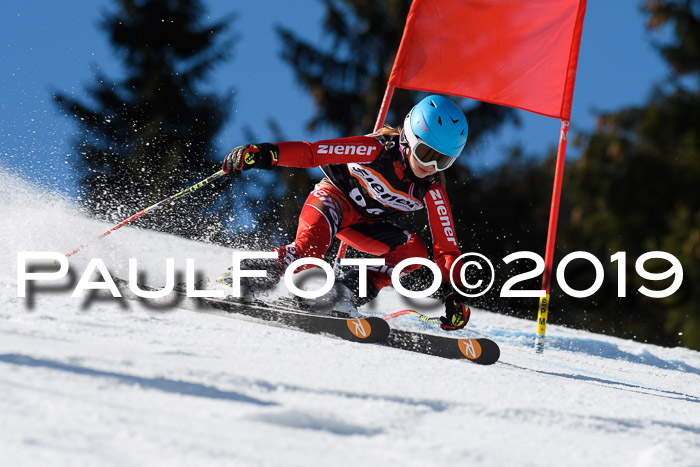 Ziener Cup WF, RS, 24.02.2019