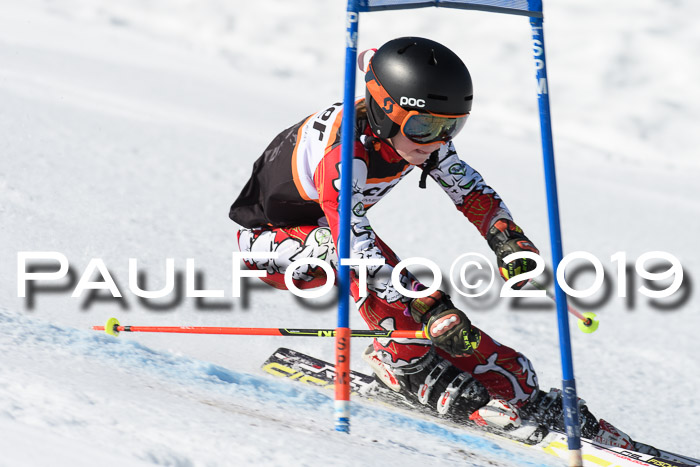 Ziener Cup WF, RS, 24.02.2019