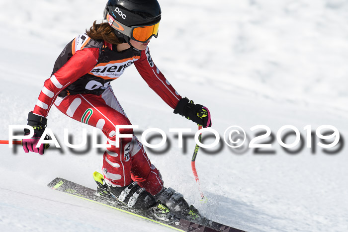 Ziener Cup WF, RS, 24.02.2019