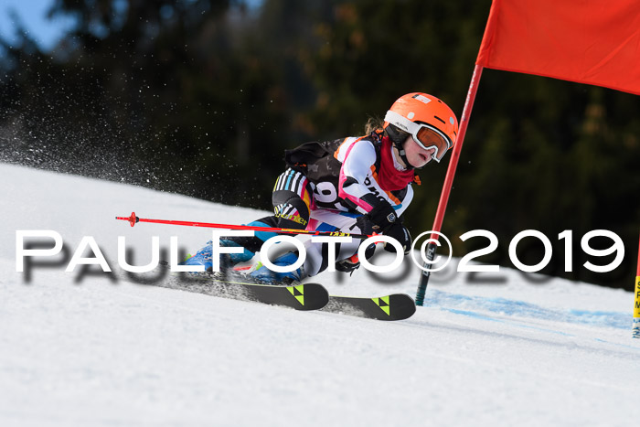 Ziener Cup WF, RS, 24.02.2019