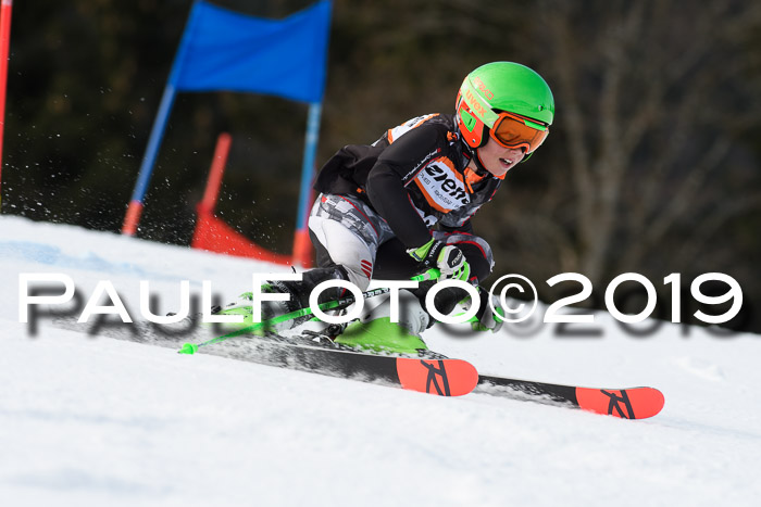 Ziener Cup WF, RS, 24.02.2019