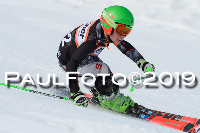 Ziener Cup WF, RS, 24.02.2019