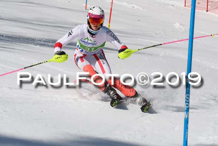 FIS Slalom Damen + NJR Herren, Lenggries 03.03.2019