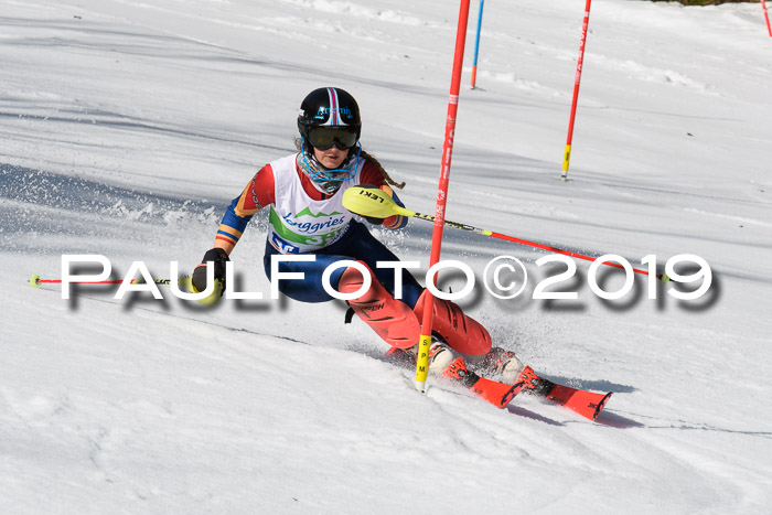 FIS Slalom Damen + NJR Herren, Lenggries 03.03.2019