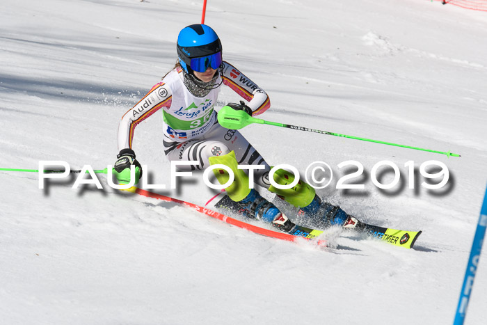 FIS Slalom Damen + NJR Herren, Lenggries 03.03.2019