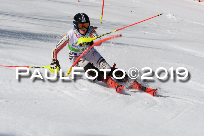 FIS Slalom Damen + NJR Herren, Lenggries 03.03.2019