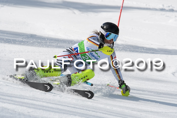 FIS Slalom Damen + NJR Herren, Lenggries 03.03.2019