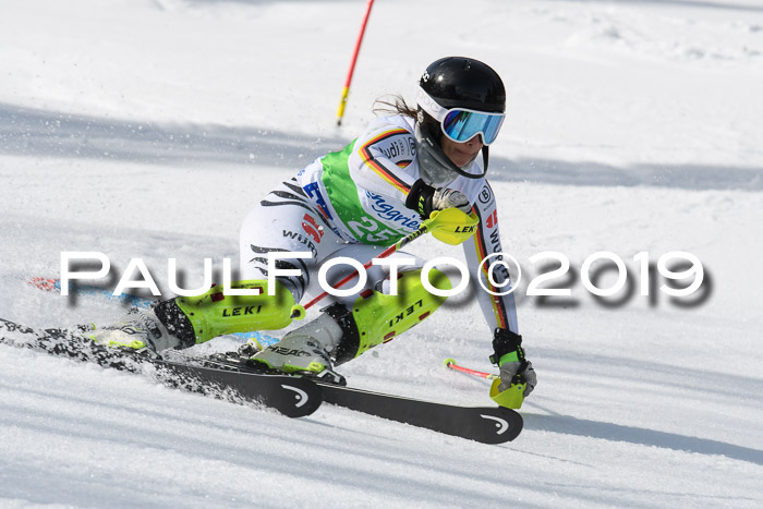 FIS Slalom Damen + NJR Herren, Lenggries 03.03.2019