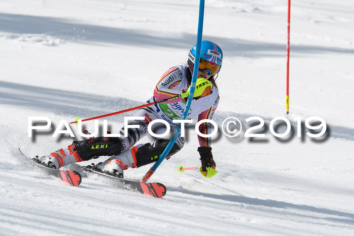 FIS Slalom Damen + NJR Herren, Lenggries 03.03.2019