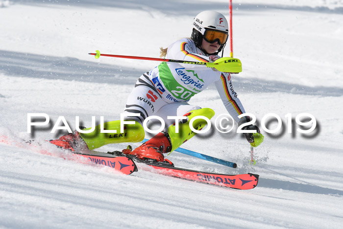 FIS Slalom Damen + NJR Herren, Lenggries 03.03.2019