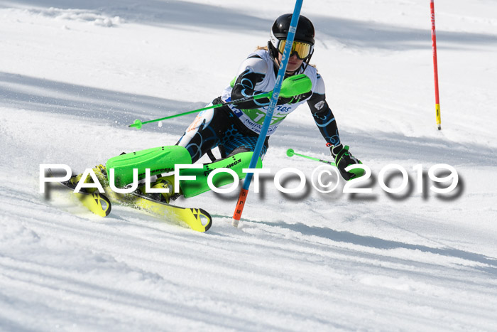 FIS Slalom Damen + NJR Herren, Lenggries 03.03.2019