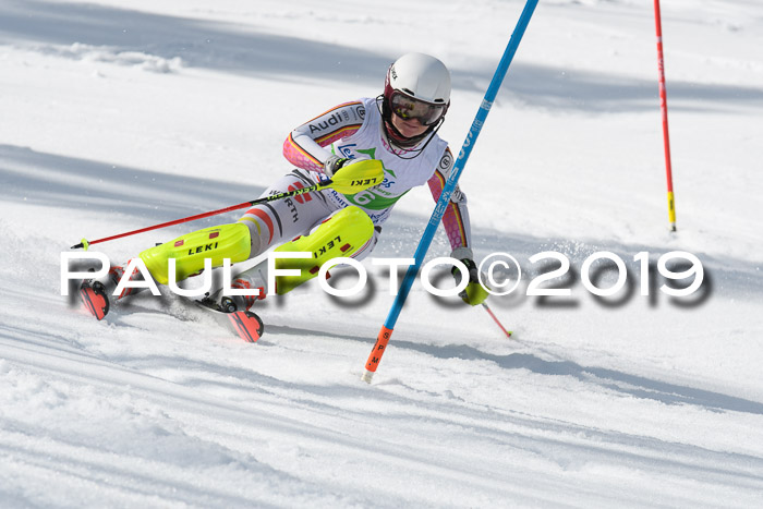 FIS Slalom Damen + NJR Herren, Lenggries 03.03.2019