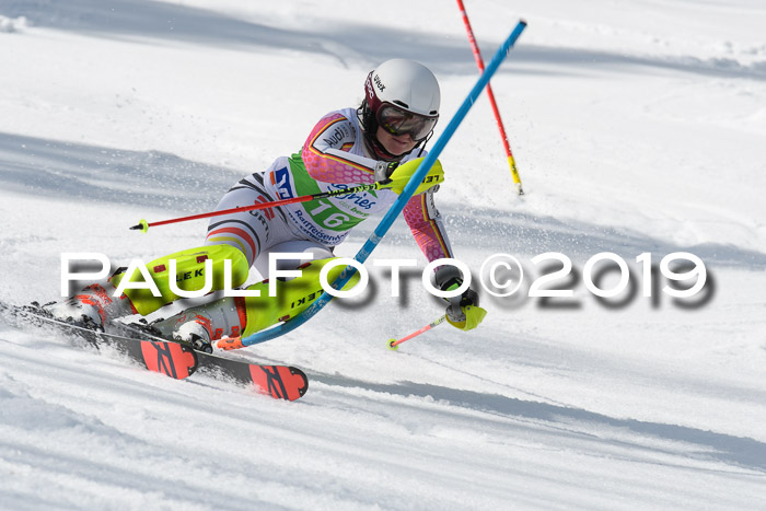 FIS Slalom Damen + NJR Herren, Lenggries 03.03.2019