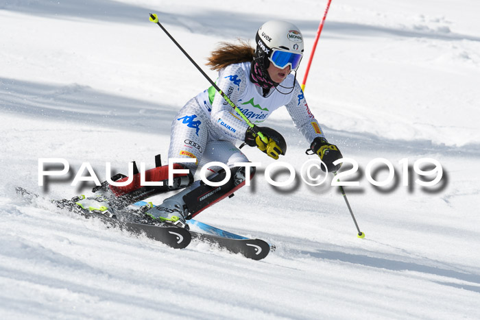 FIS Slalom Damen + NJR Herren, Lenggries 03.03.2019