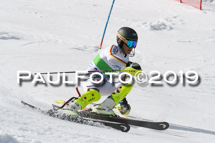 FIS Slalom Damen + NJR Herren, Lenggries 03.03.2019