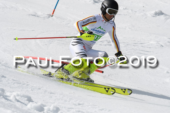 FIS Slalom Damen + NJR Herren, Lenggries 03.03.2019