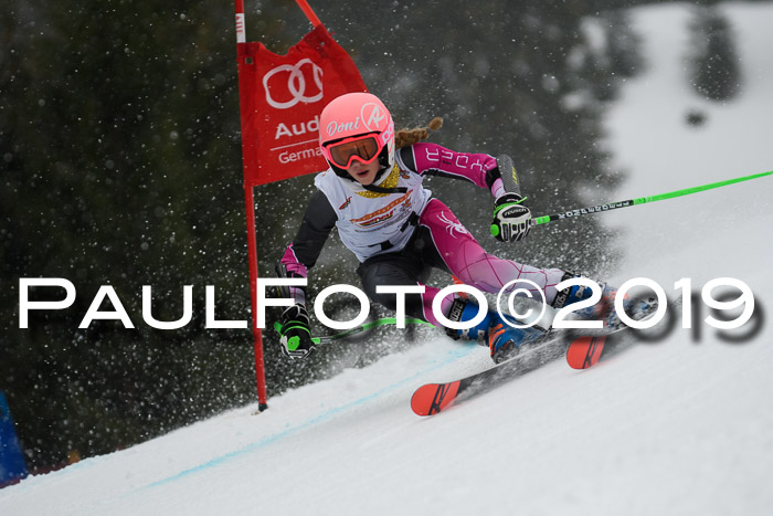 DSV Schülercup Finale U14 RS 08.03.2019