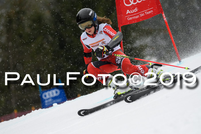 DSV Schülercup Finale U14 RS 08.03.2019