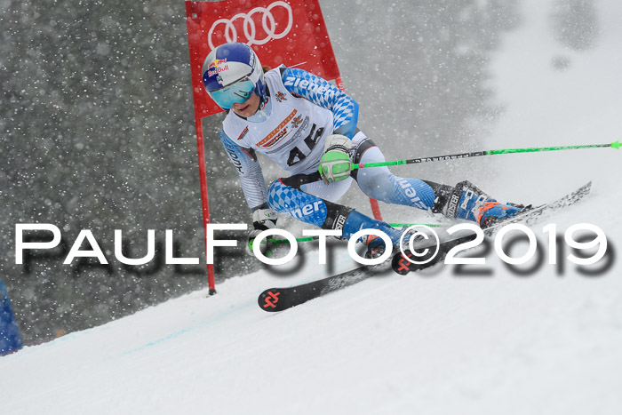 DSV Schülercup Finale U14 RS 08.03.2019