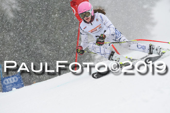 DSV Schülercup Finale U14 RS 08.03.2019