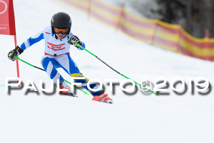 Dt. Schülercup Finale U16 Riesenslalom 08.03.2019