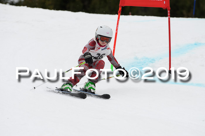 Mittenwalder Zwergerlrennen, 10.03.2019