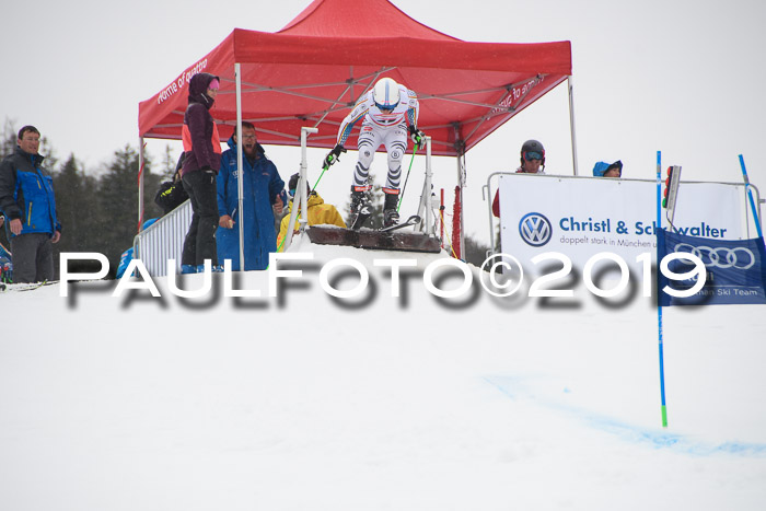 Dt. Schülercup U16 Finale, Parallelslalom, 10.03.2019, Siegerehrungen DSC Gesamt