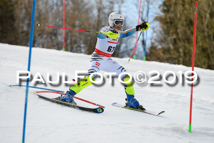 Dt. Schülermeisterschaft Slalom 16.03.2019