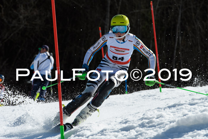 Dt. Schülermeisterschaft Slalom 16.03.2019