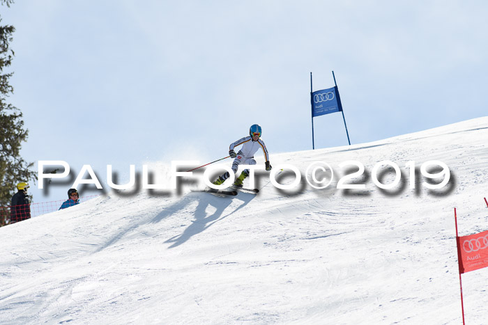 Dt. Schülermeisterschaft Super-G, 17.03.2019