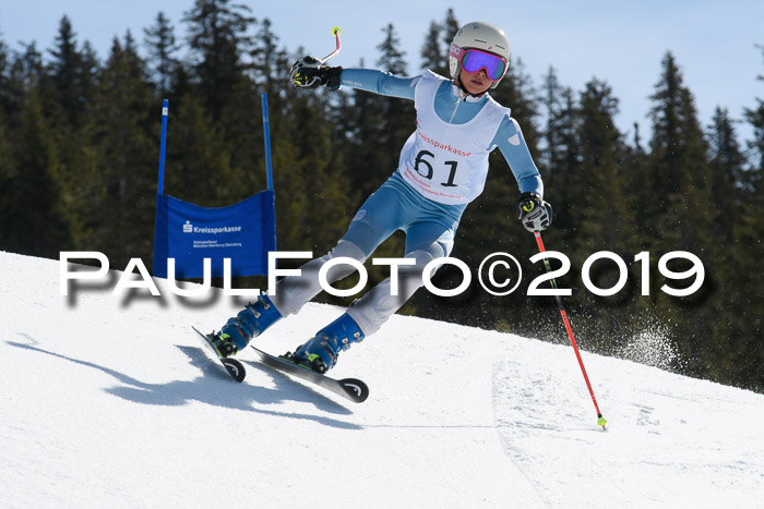 21. SVM Regionalcup-Finale 2019, Kinder, Schüler, Jugend, Erwachsene + Siegerehrungen, 18.03.2018