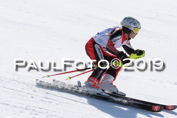 21. SVM Regionalcup-Finale 2019, Kinder, Schüler, Jugend, Erwachsene + Siegerehrungen, 18.03.2018