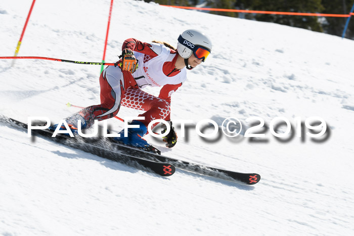 21. SVM Regionalcup-Finale 2019, Kinder, Schüler, Jugend, Erwachsene + Siegerehrungen, 18.03.2018