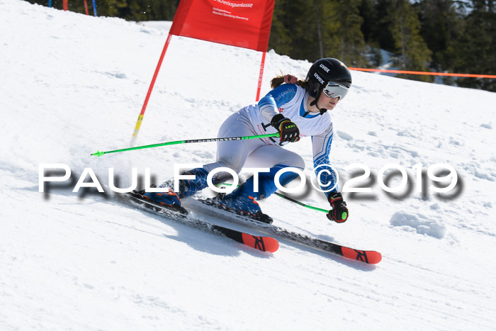 21. SVM Regionalcup-Finale 2019, Kinder, Schüler, Jugend, Erwachsene + Siegerehrungen, 18.03.2018