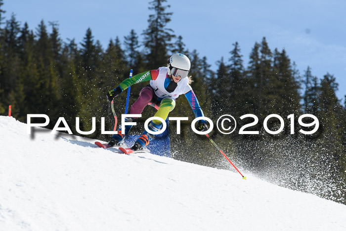 21. SVM Regionalcup-Finale 2019, Kinder, Schüler, Jugend, Erwachsene + Siegerehrungen, 18.03.2018