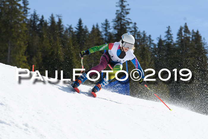 21. SVM Regionalcup-Finale 2019, Kinder, Schüler, Jugend, Erwachsene + Siegerehrungen, 18.03.2018