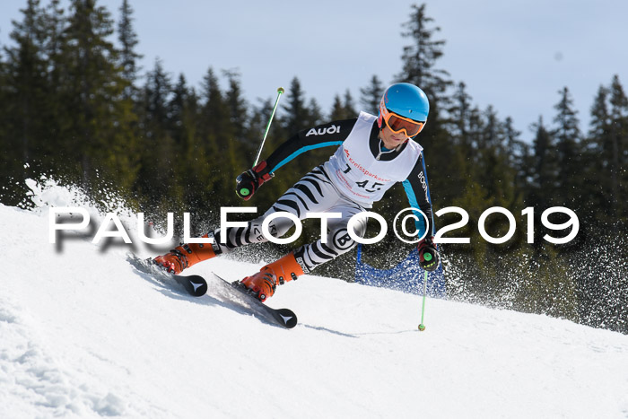 21. SVM Regionalcup-Finale 2019, Kinder, Schüler, Jugend, Erwachsene + Siegerehrungen, 18.03.2018