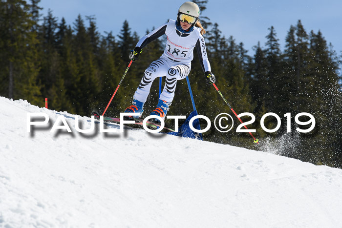 21. SVM Regionalcup-Finale 2019, Kinder, Schüler, Jugend, Erwachsene + Siegerehrungen, 18.03.2018